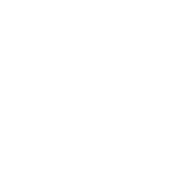GaleaSystem